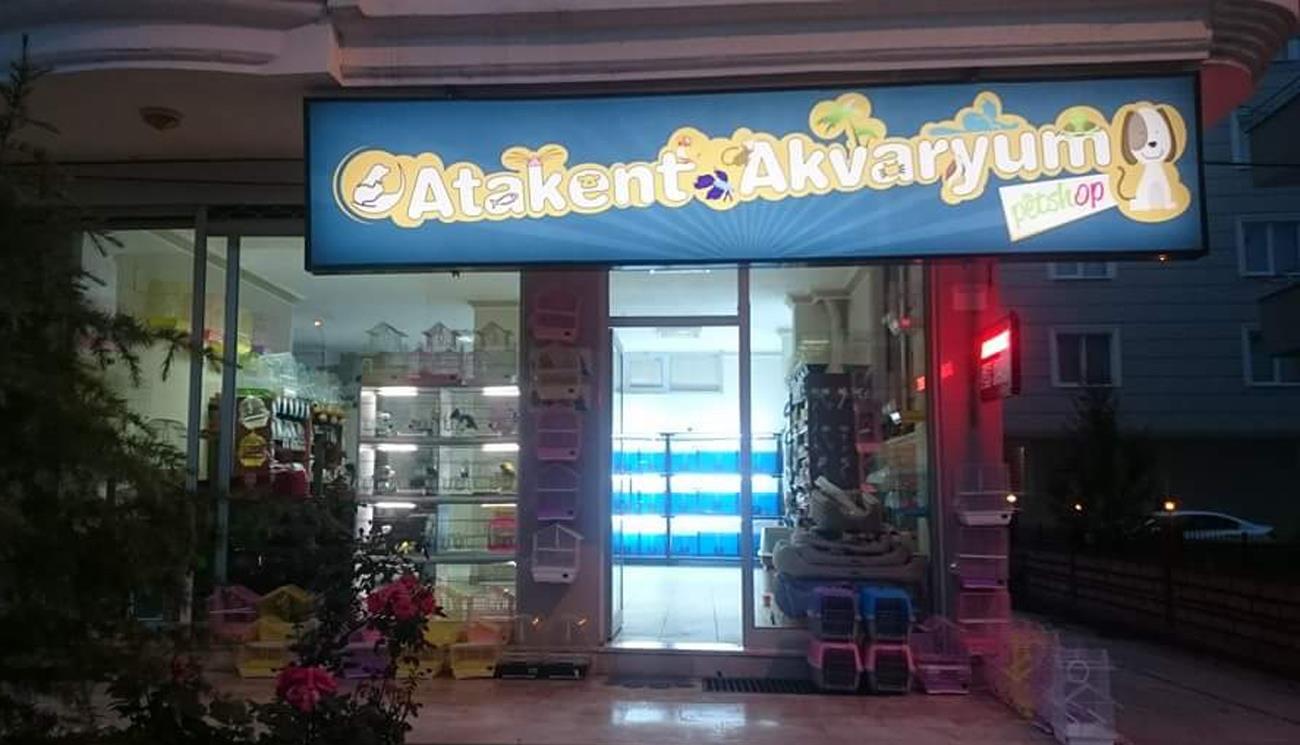 Tabela Çalışması Tabela Çalışması