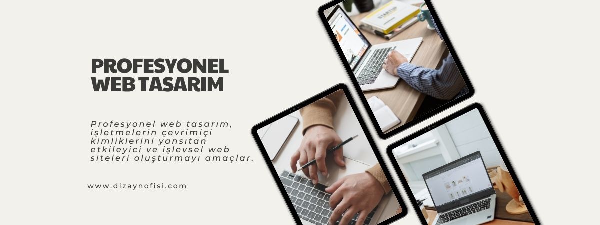 Profesyonel Web Tasarım